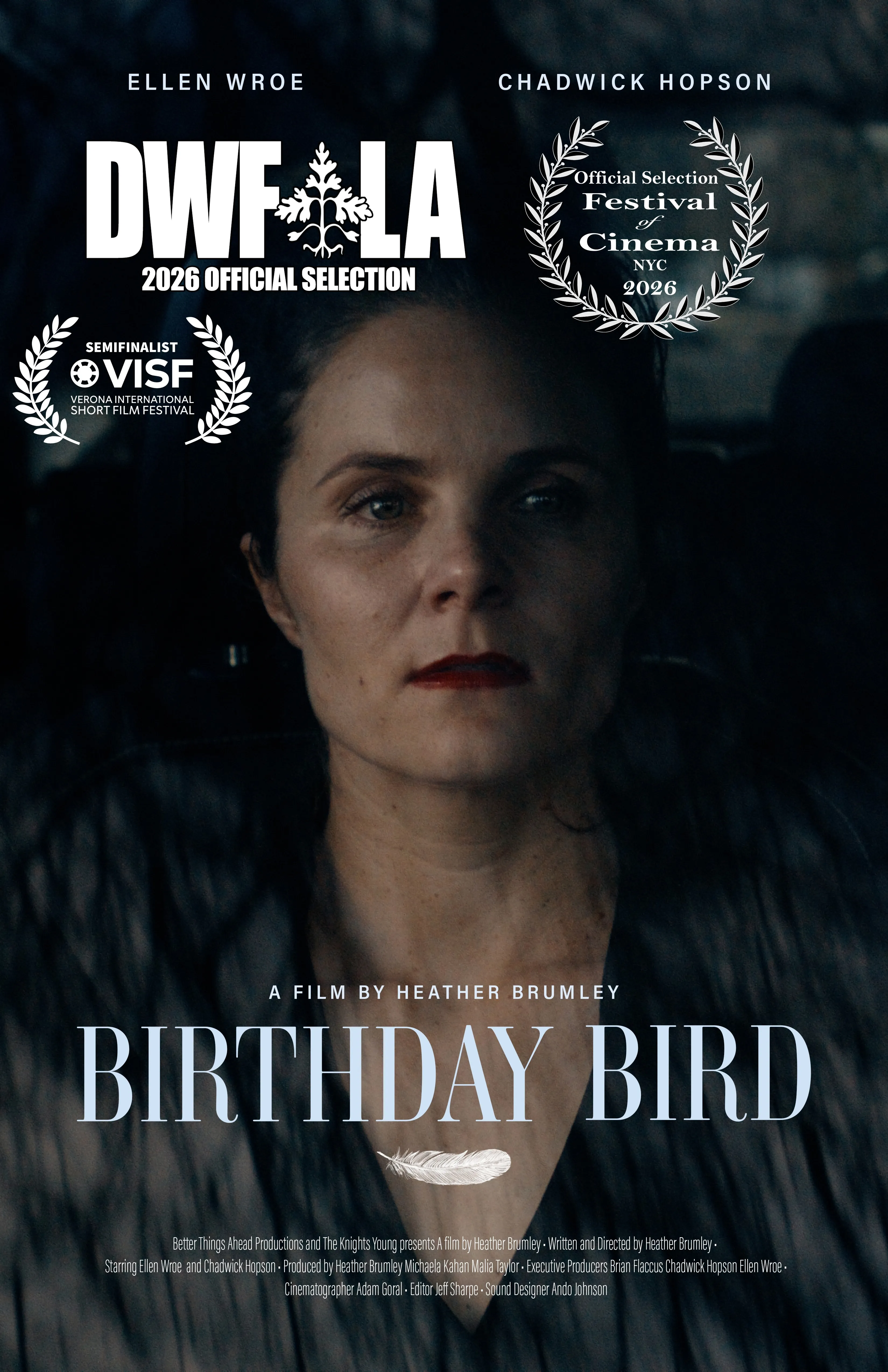 Birthday Bird
