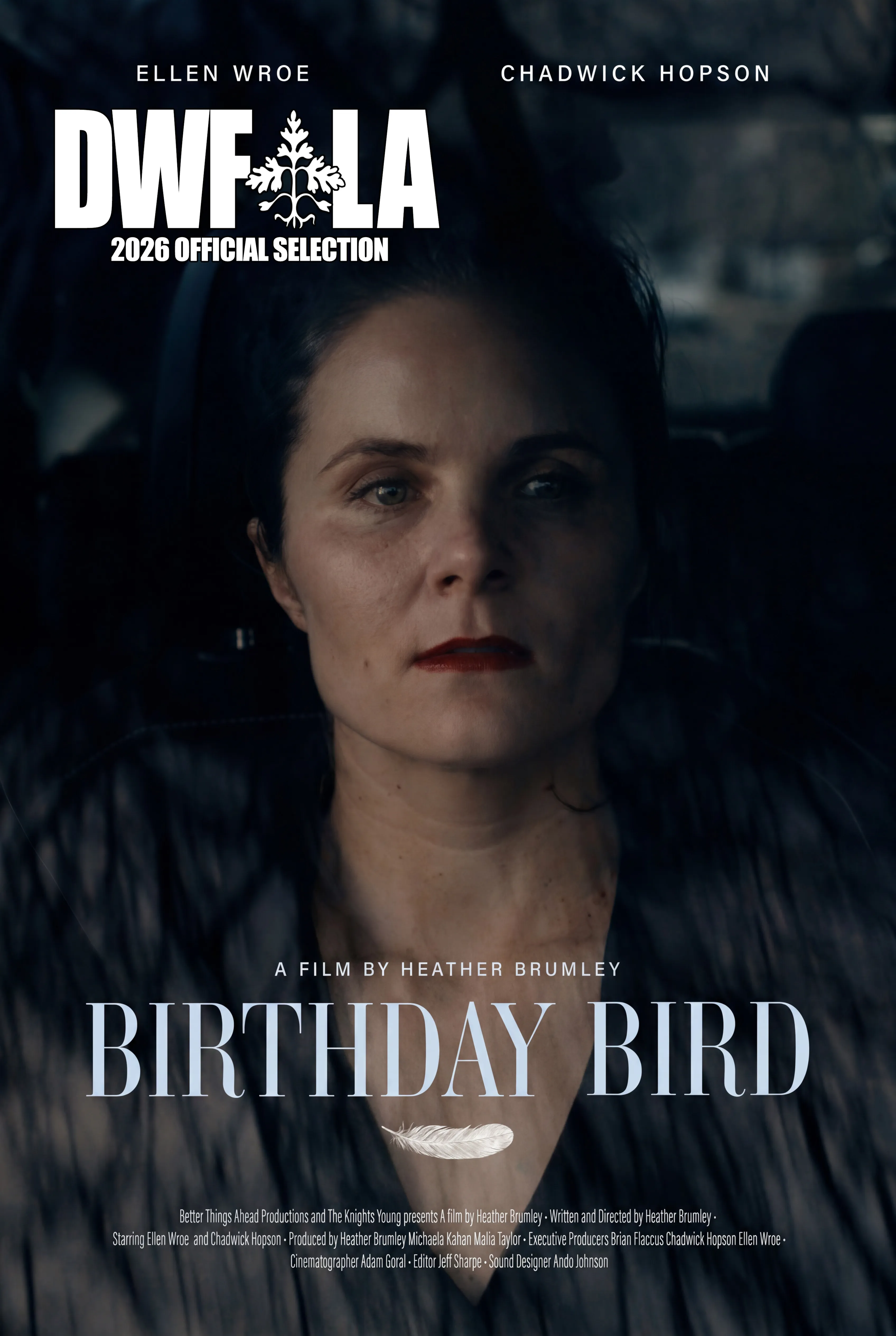Birthday Bird